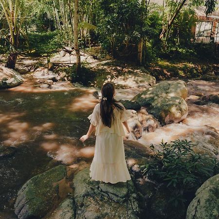 เดอะริเวอร์ แม่กำปอง The River Maekampong Chiang Mai Ban Pok Nai Eksteriør billede