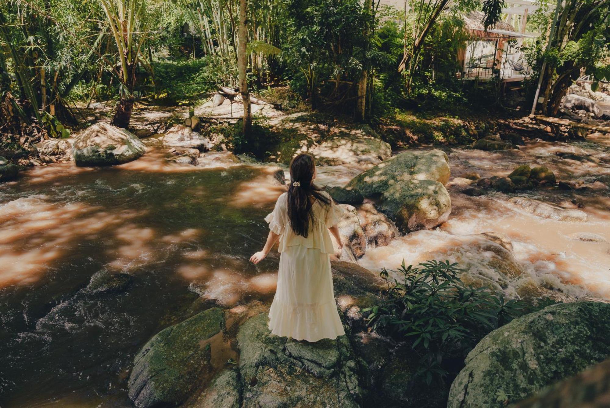 เดอะริเวอร์ แม่กำปอง The River Maekampong Chiang Mai Ban Pok Nai Eksteriør billede